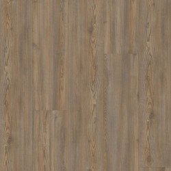 COREtec Plus Premium - Treasure Pine